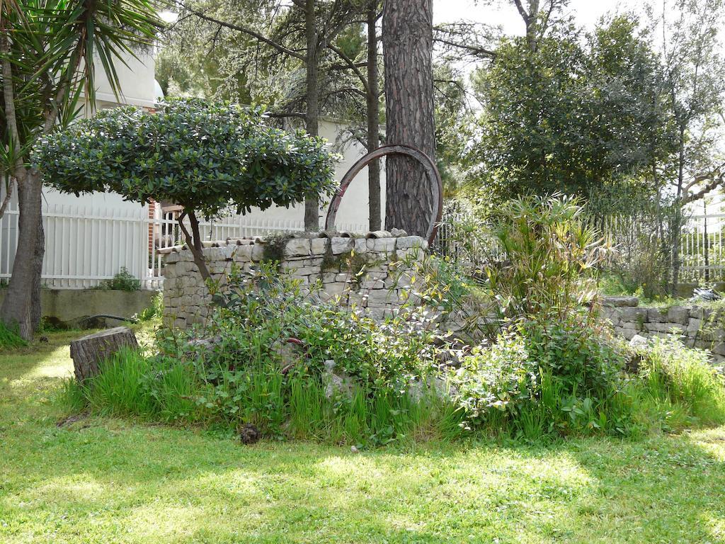 B&B Villa Garden Μπισέλιε Εξωτερικό φωτογραφία