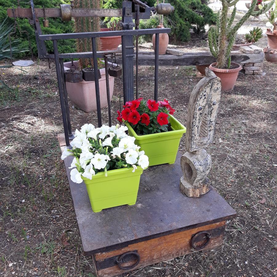 B&B Villa Garden Μπισέλιε Εξωτερικό φωτογραφία
